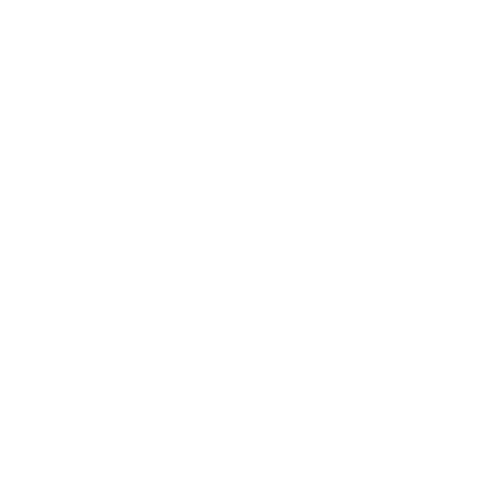 icon2